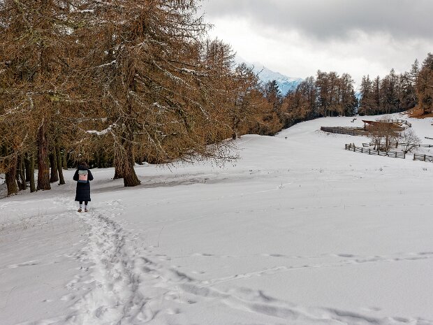 Italien, Trentino-Alto Adige, Latsch