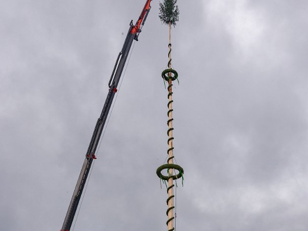 Baum Aufstellen